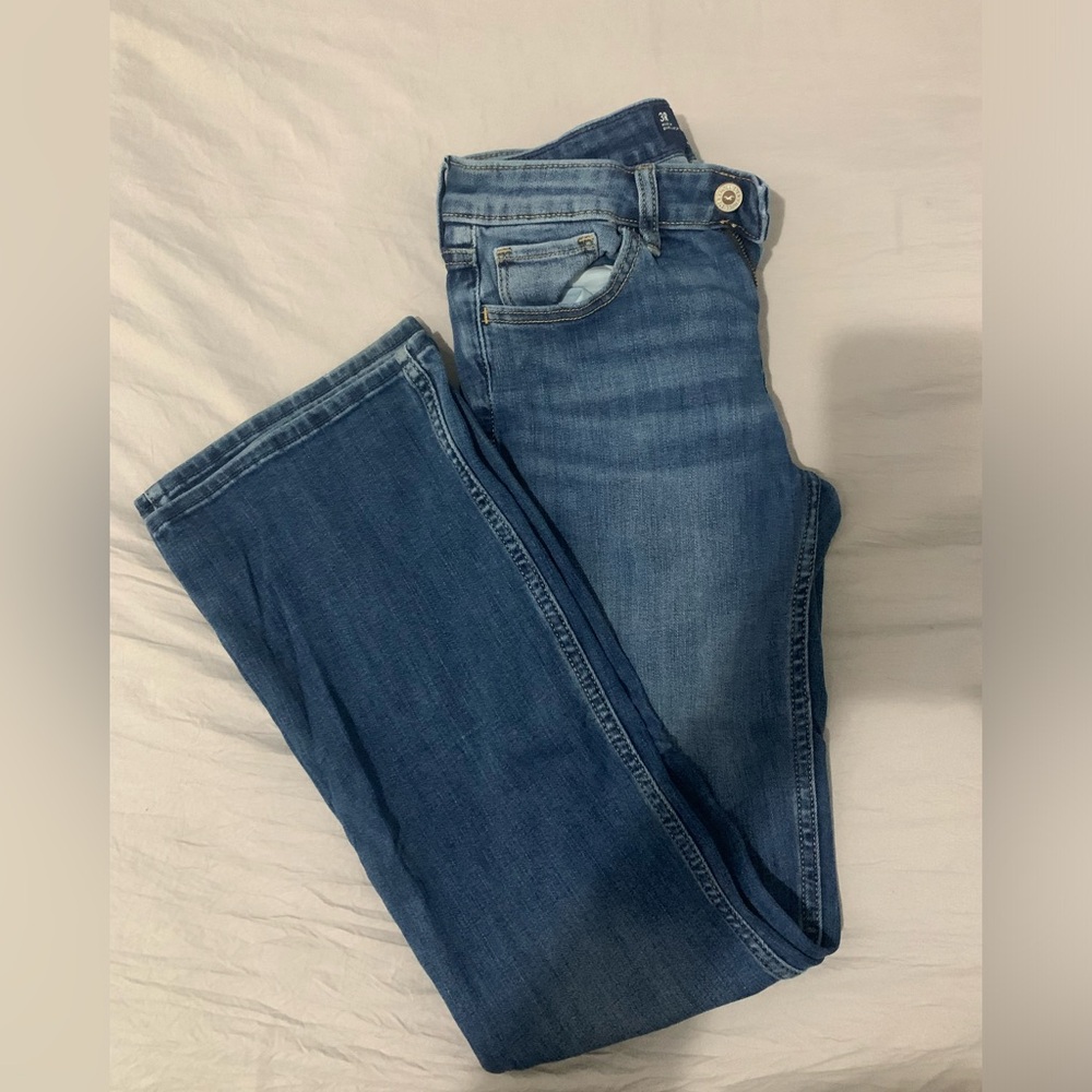 Hollister pants